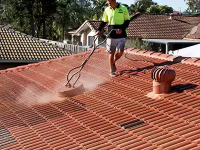 Pressure Roof Cleaning